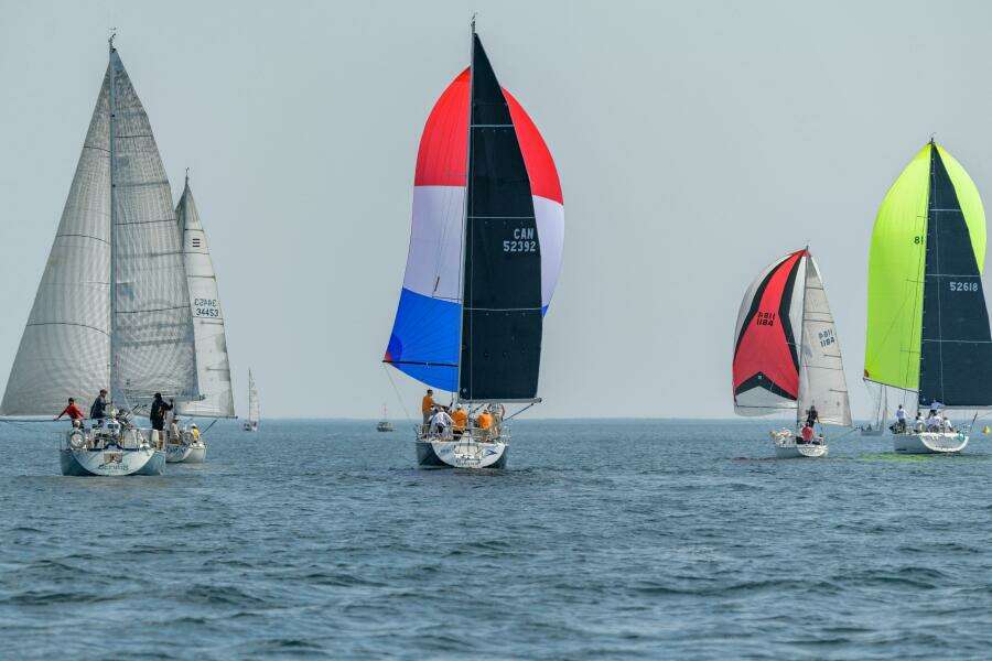 2006 Beneteau First 36.7