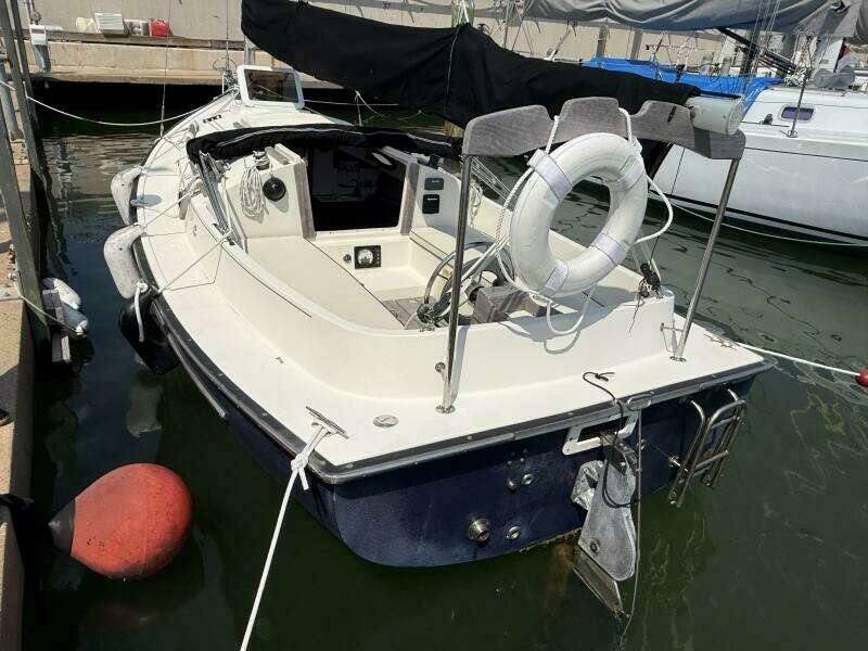 Horizon Cat Transom
