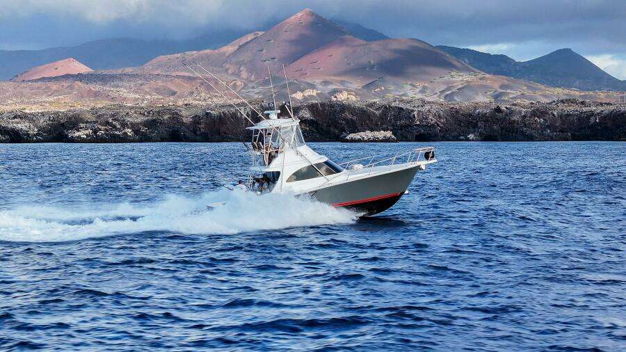 2025 Viking 38 Billfish