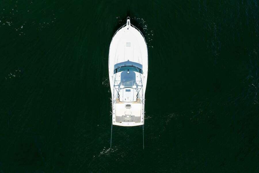 Albemarle 41 Salt Lick - Exterior Profile