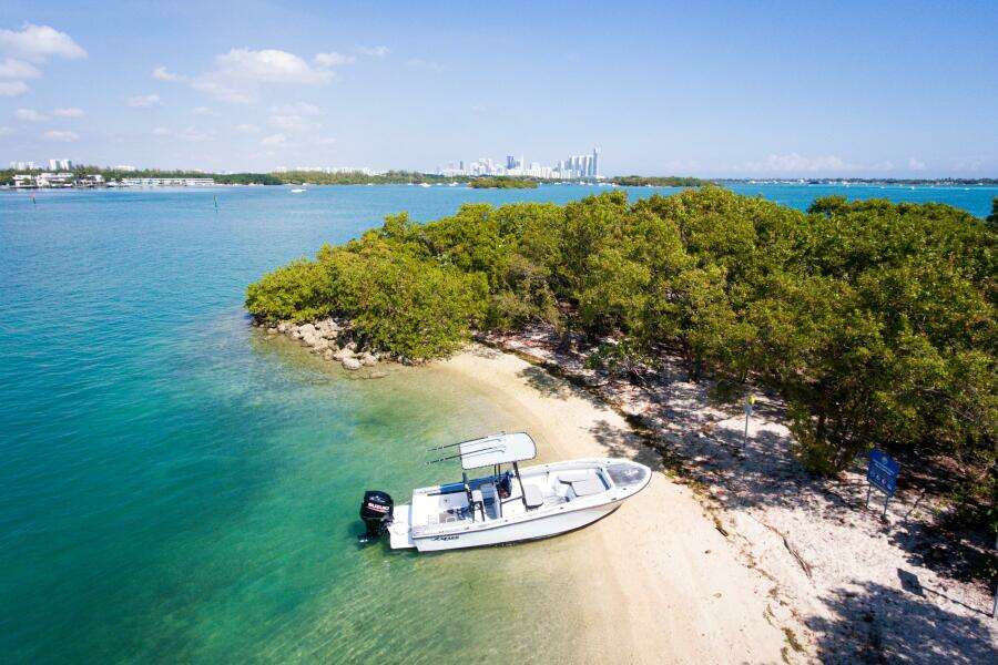 1980 Mako 214 Walkaround