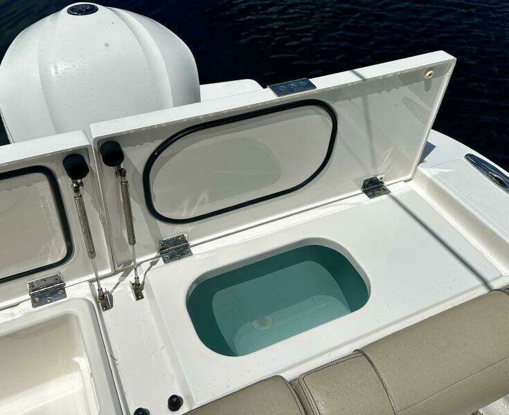 Pursuit OS 325 - Cockpit Livewell