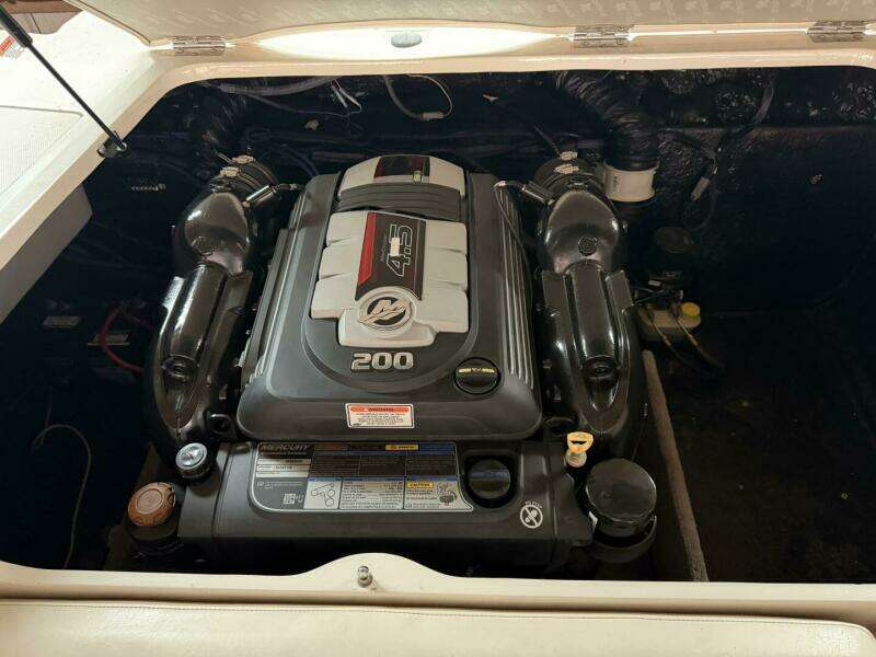 2019 Stingray 208 LS