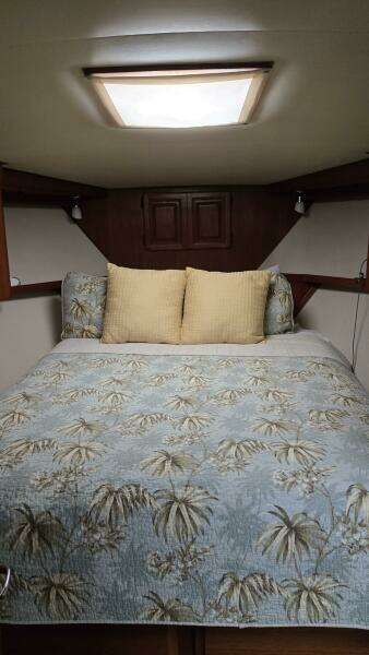 Viking 45 - Wild Life