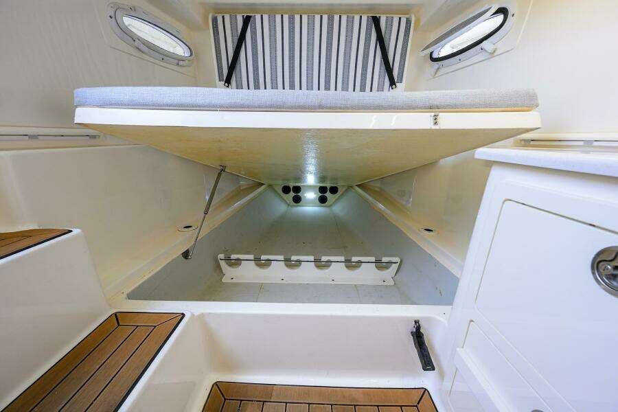 Cobia 35 - Conched Out - 