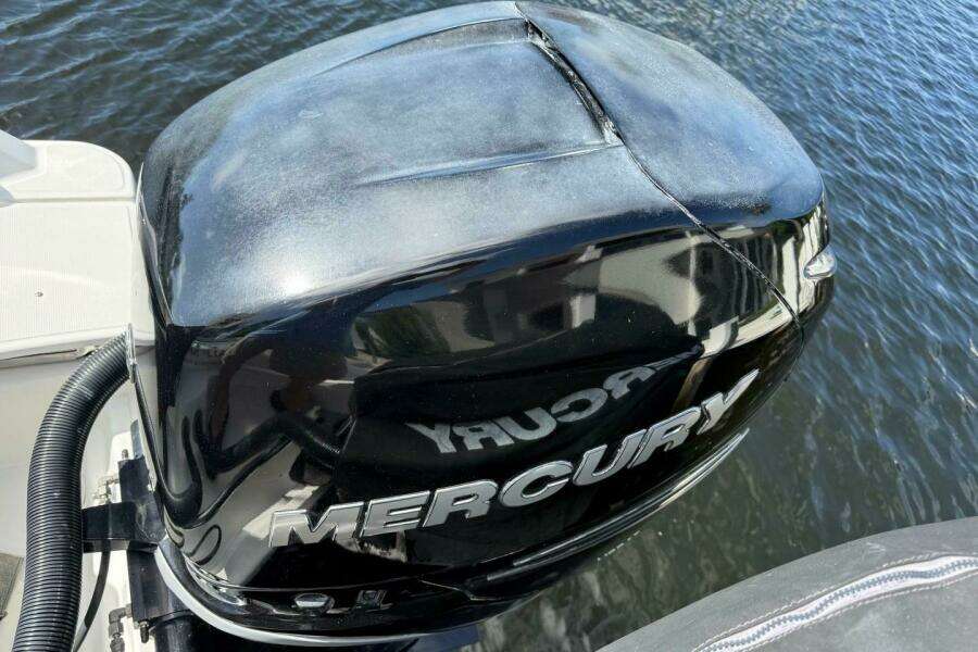 2018 Boston Whaler 250 Outrage