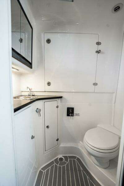 2024 Cigarette 42 Auroris