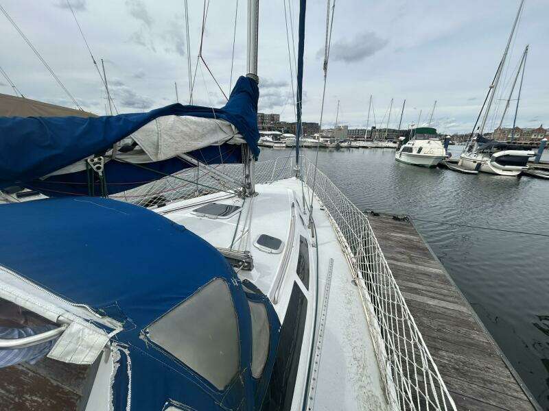 1995 Catalina 320 Study Hull