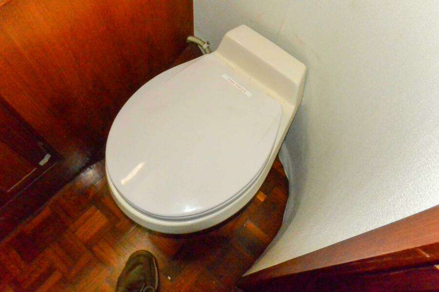 Guest staterooms shared head 