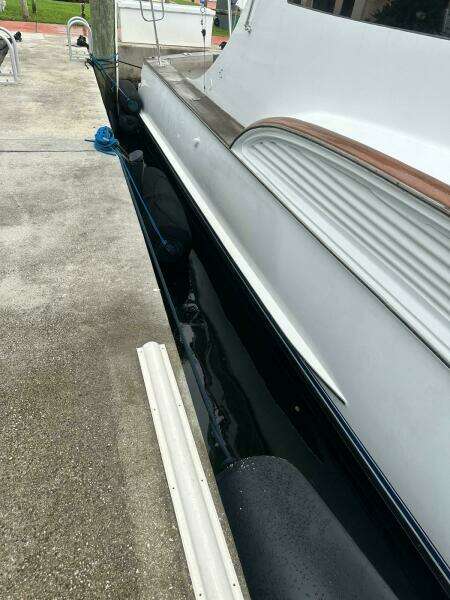 2001 Buddy Davis SPORTFISH