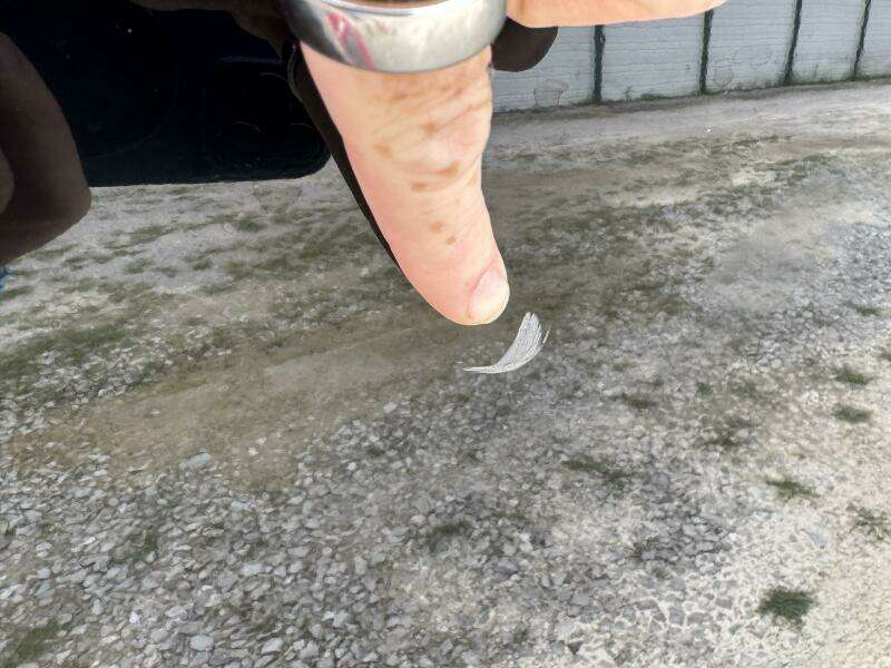 2008 Mastercraft X-2