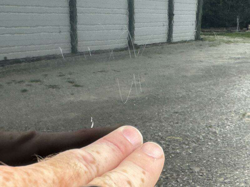 2008 Mastercraft X-2