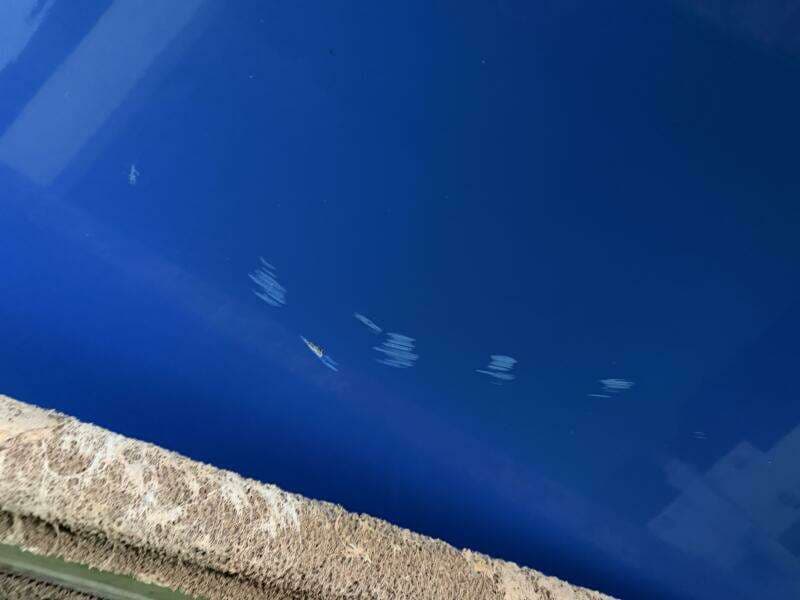 2006 Correct Craft Air Nautique SV-211 Team Edition