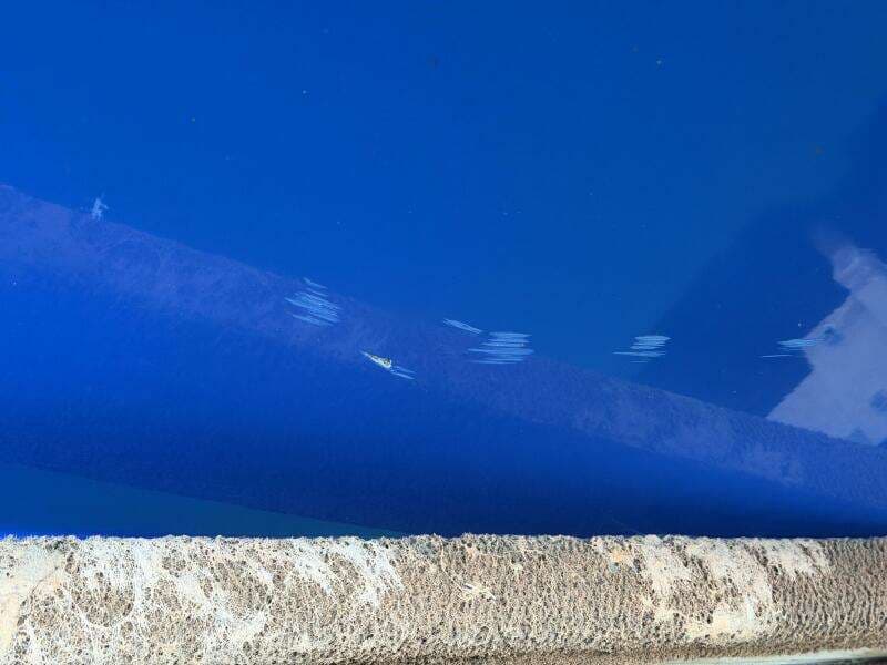 2006 Correct Craft Air Nautique SV-211 Team Edition