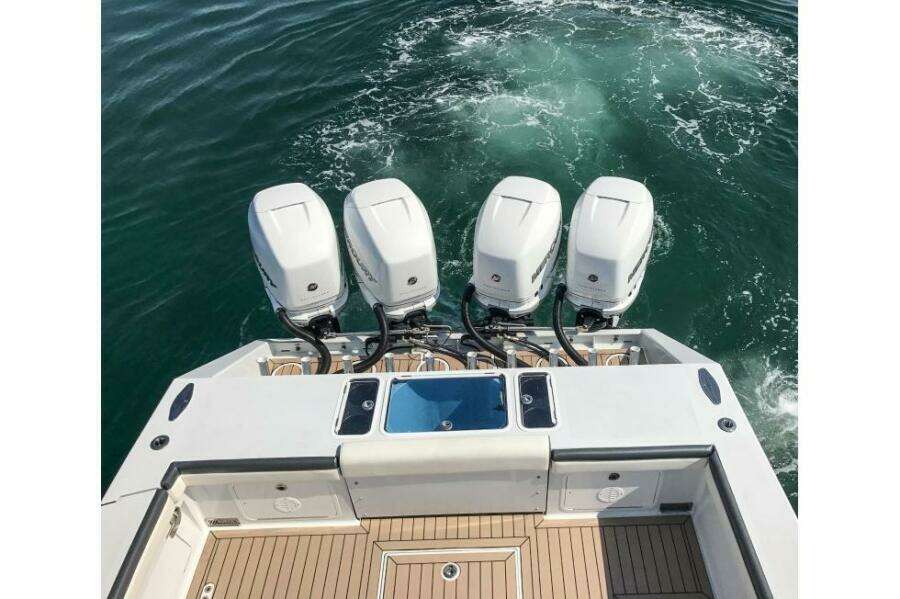 Metal Shark 42 - Pretty Work -