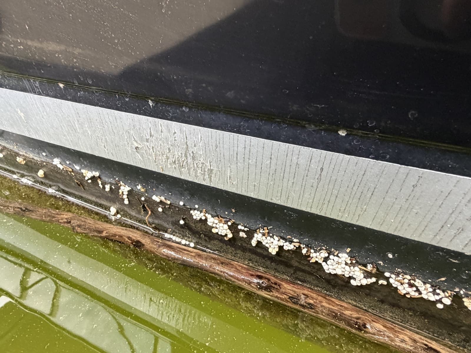 2009 Sea Ray 270 Sundancer