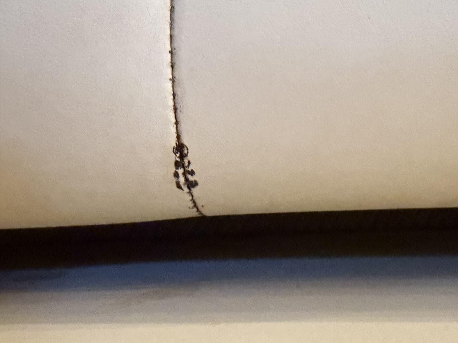 2008 Rinker 280 Express Cruiser