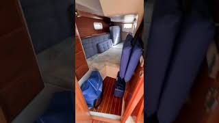1996 Catalina 36 MkII Interior Flythrough